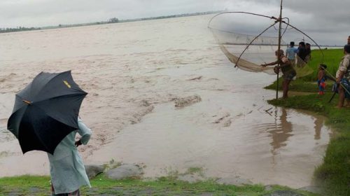 তিস্তা নদীতে কাদাপানি