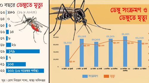 ডেঙ্গুর প্রকোপ