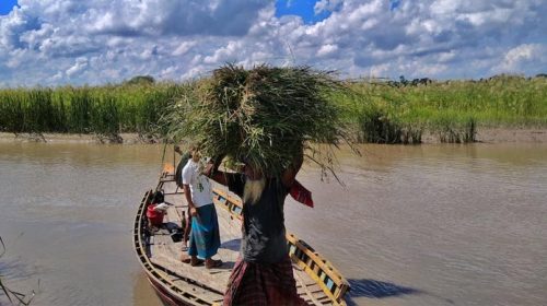 সুন্দরবন রক্ষায় সরকারের উদ্যোগের প্রশংসা ইউনেস্কোর