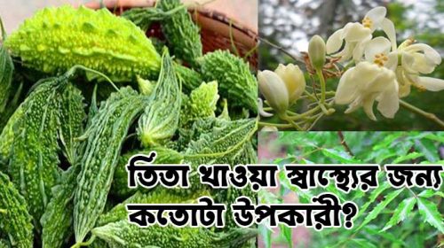 তিতা খাওয়া স্বাস্থ্যের জন্য কতোটা উপকারী?